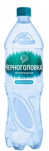 Вода Черноголовка / Черноголовская 1.5 л. без газа (6 бут.) - основное фото